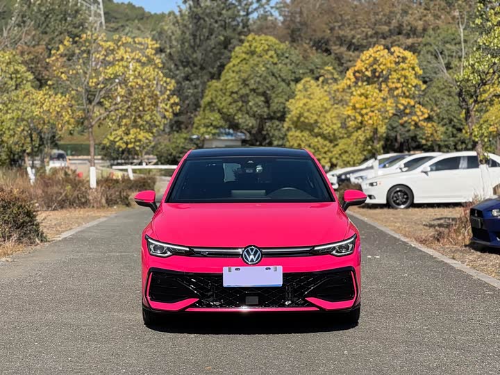 Volkswagen Golf 2025 2025款 改款 300TSI R-Line