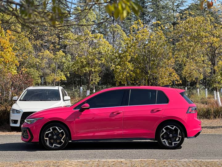 Volkswagen Golf 2025 2025款 改款 300TSI R-Line