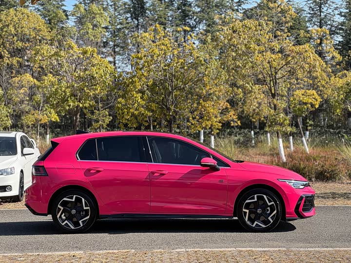 Volkswagen Golf 2025 2025款 改款 300TSI R-Line