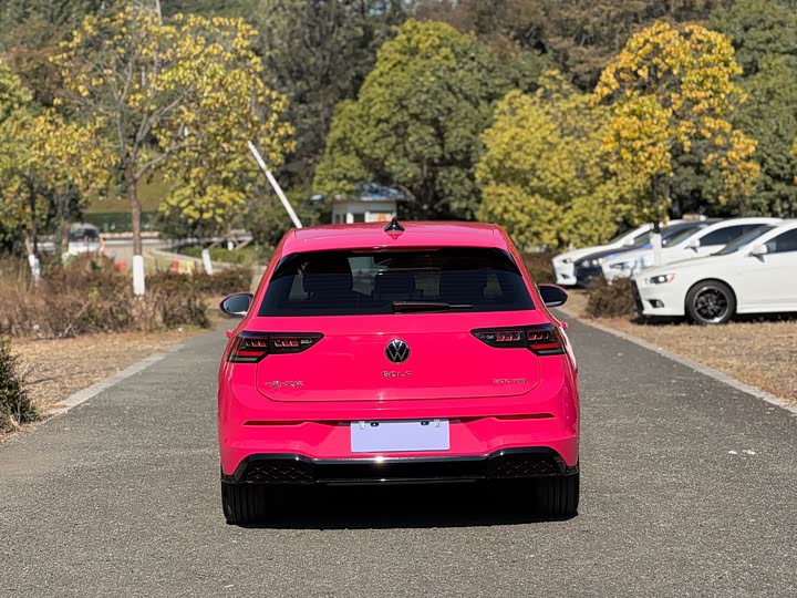 Volkswagen Golf 2025 2025款 改款 300TSI R-Line