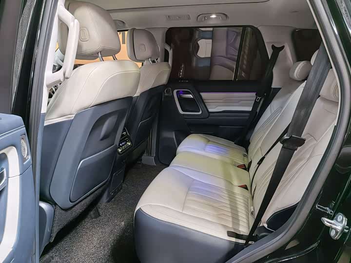 BAIC Beijing BJ60 2022 2022款 2.0T 十一版 五座