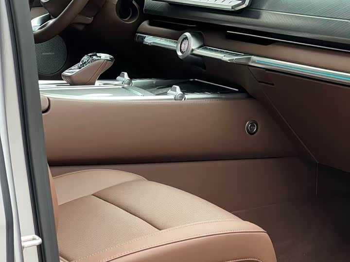 Tank 700 Hybrid 2024 2024款 Hi4-T 极境版