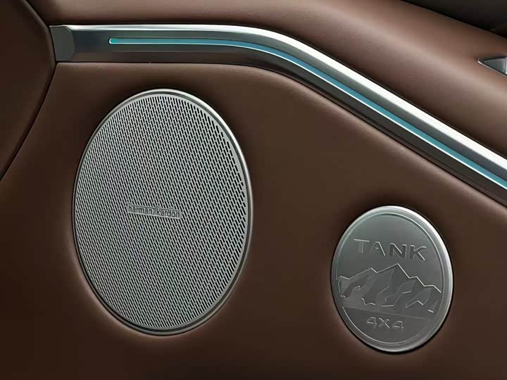 Tank 700 Hybrid 2024 2024款 Hi4-T 极境版