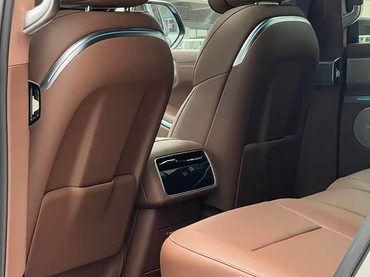 Tank 700 Hybrid 2024 2024款 Hi4-T 极境版