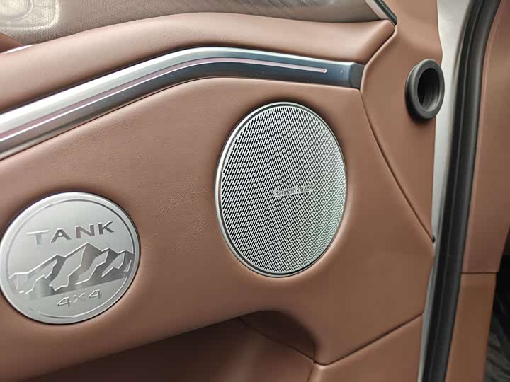 Tank 700 Hybrid 2024 2024款 Hi4-T 极境版