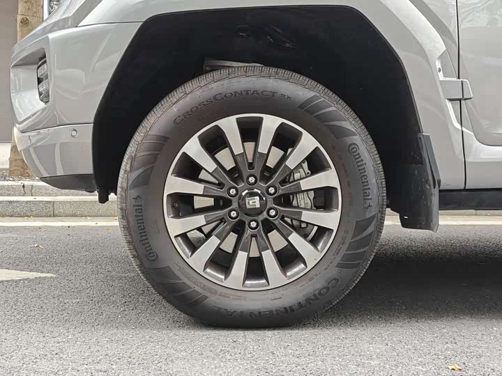 Tank 700 Hybrid 2024 2024款 Hi4-T 极境版