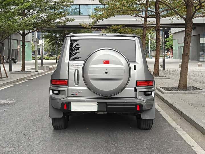 Tank 700 Hybrid 2024 2024款 Hi4-T 极境版