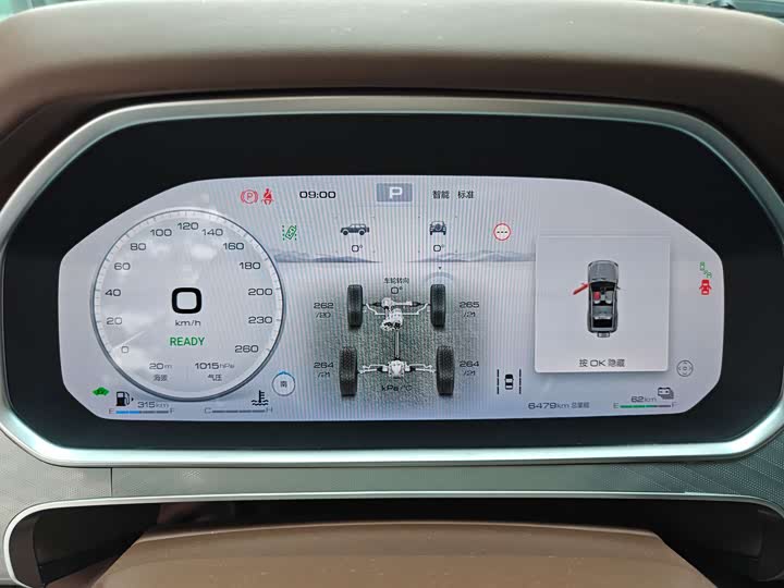 Tank 700 Hybrid 2024 2024款 Hi4-T 极境版