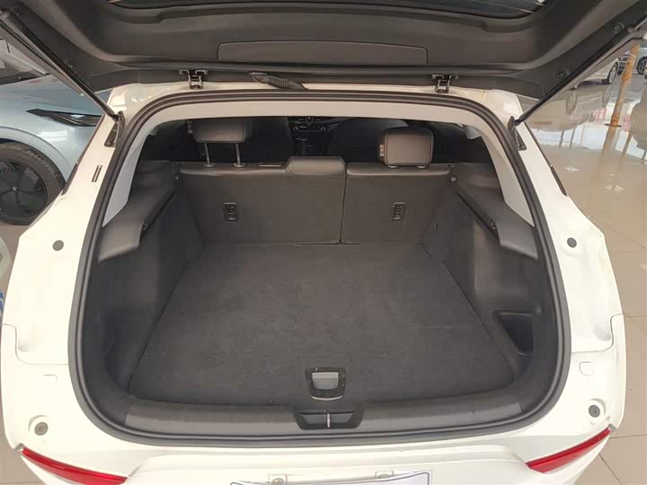 Buick Velite 6 2024 2024款 450km 出行版