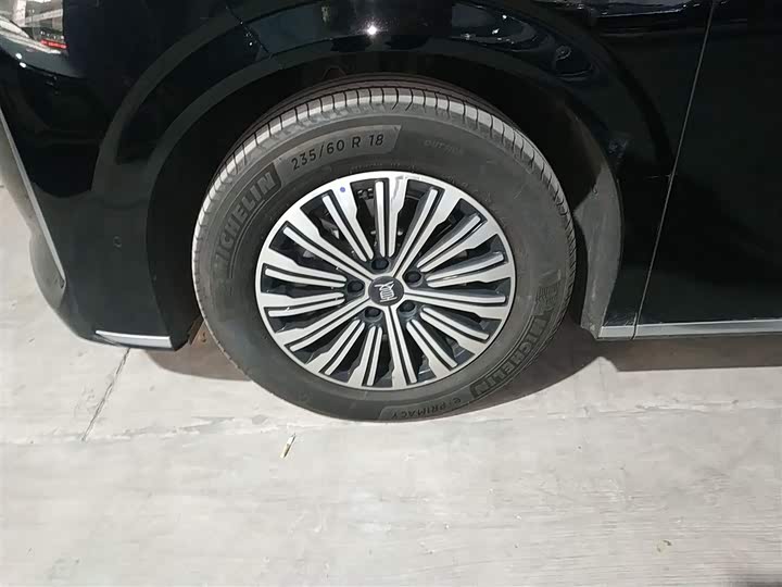 BYD Xia 2025 2025款 DM-i 1.5T 180km 超越型