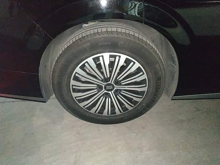 BYD Xia 2025 2025款 DM-i 1.5T 180km 超越型