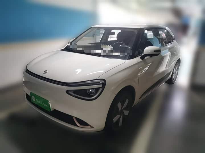 Dongfeng Nammi 01 2024 2024款 330 Lite