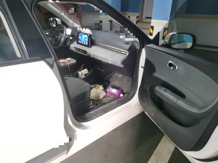 Dongfeng Nammi 01 2024 2024款 330 Lite