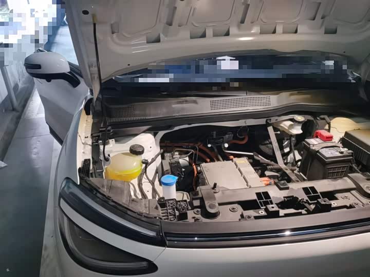 Dongfeng Nammi 01 2024 2024款 330 Lite