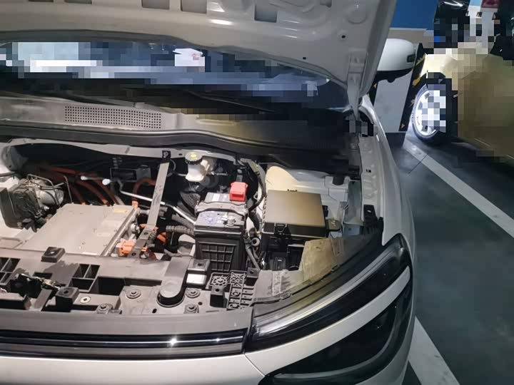 Dongfeng Nammi 01 2024 2024款 330 Lite