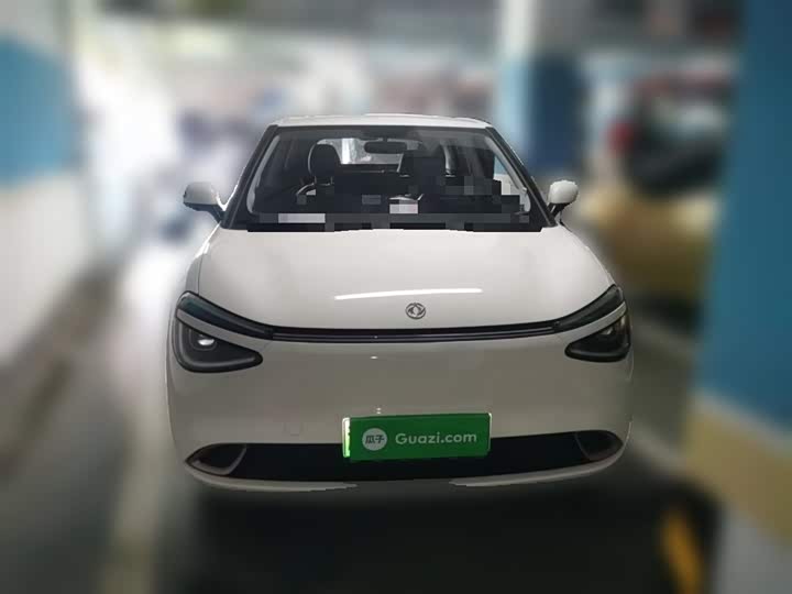 Dongfeng Nammi 01 2024 2024款 330 Lite