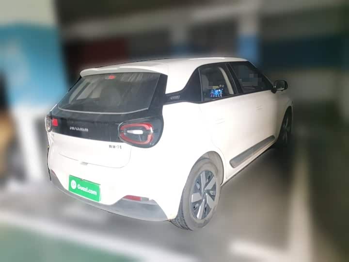 Dongfeng Nammi 01 2024 2024款 330 Lite