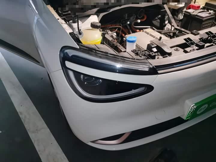 Dongfeng Nammi 01 2024 2024款 330 Lite