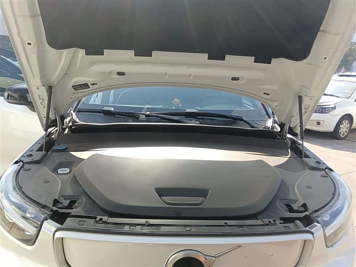 Volvo XC40 EV 2021 2021款 P8 纯电 四驱智雅运动版