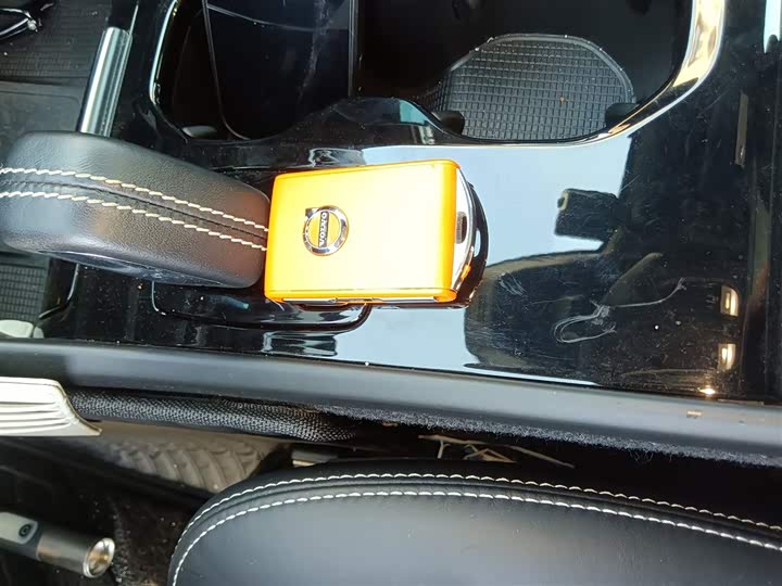 Volvo XC40 EV 2021 2021款 P8 纯电 四驱智雅运动版