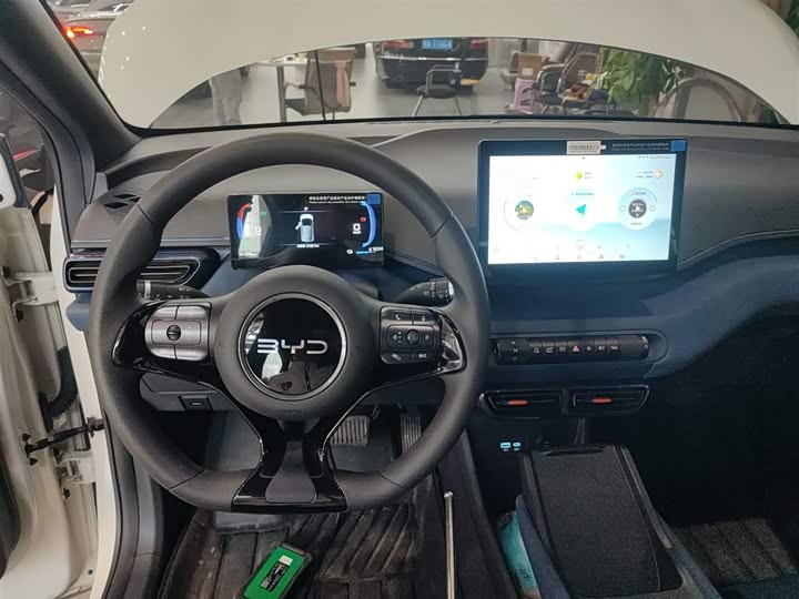 BYD Seagull 2025 2025款 305km 活力版