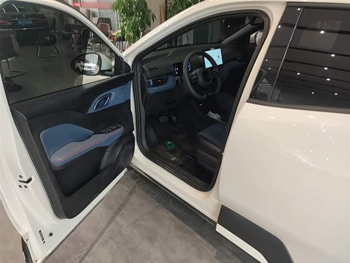 BYD Seagull 2025 2025款 305km 活力版