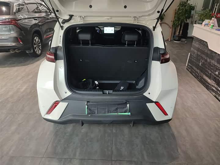 BYD Seagull 2025 2025款 305km 活力版