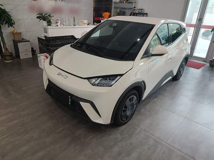 BYD Seagull 2025 2025款 305km 活力版