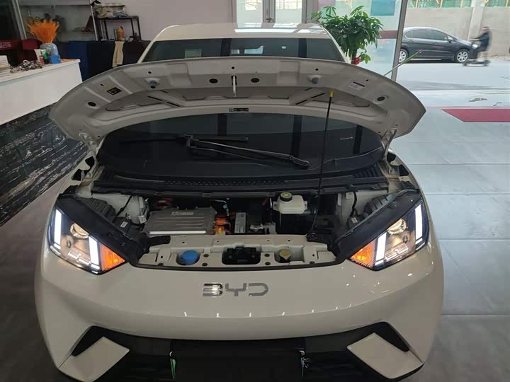 BYD Seagull 2025 2025款 305km 活力版