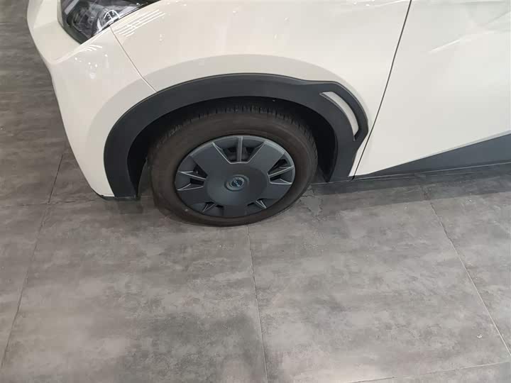 BYD Seagull 2025 2025款 305km 活力版