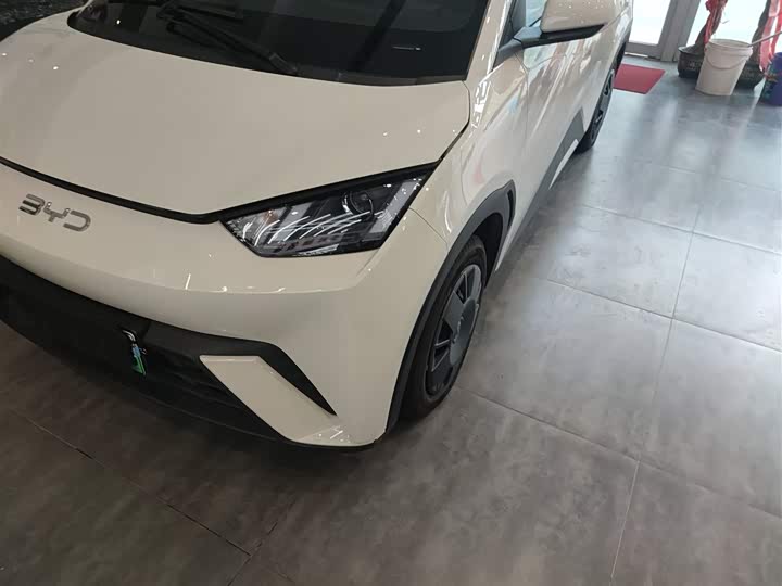 BYD Seagull 2025 2025款 305km 活力版