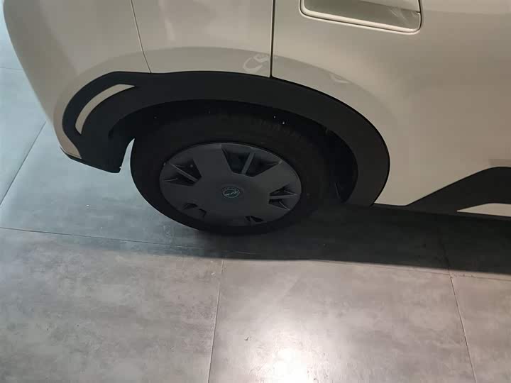 BYD Seagull 2025 2025款 305km 活力版