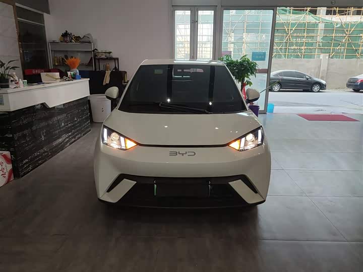 BYD Seagull 2025 2025款 305km 活力版