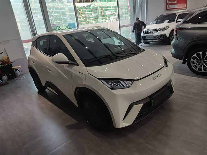 BYD Seagull 2025 2025款 305km 活力版