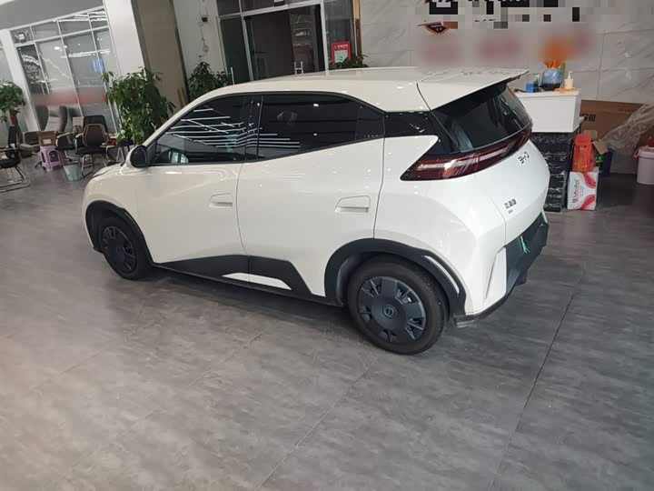 BYD Seagull 2025 2025款 305km 活力版