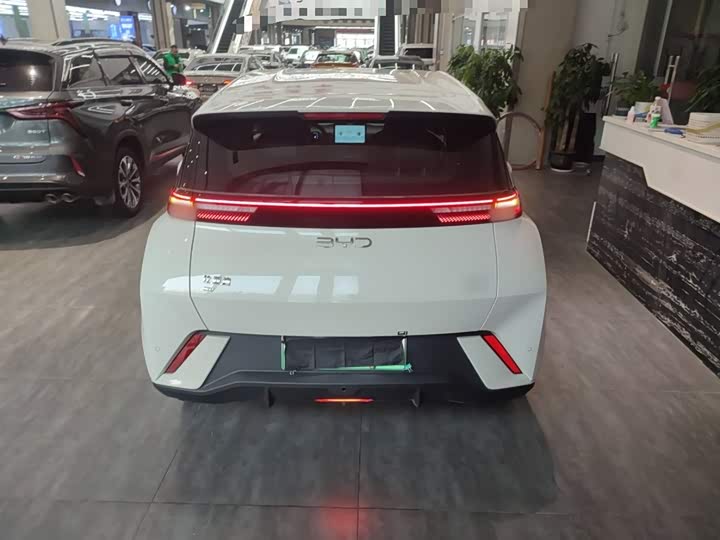 BYD Seagull 2025 2025款 305km 活力版