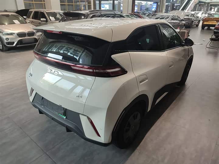 BYD Seagull 2025 2025款 305km 活力版