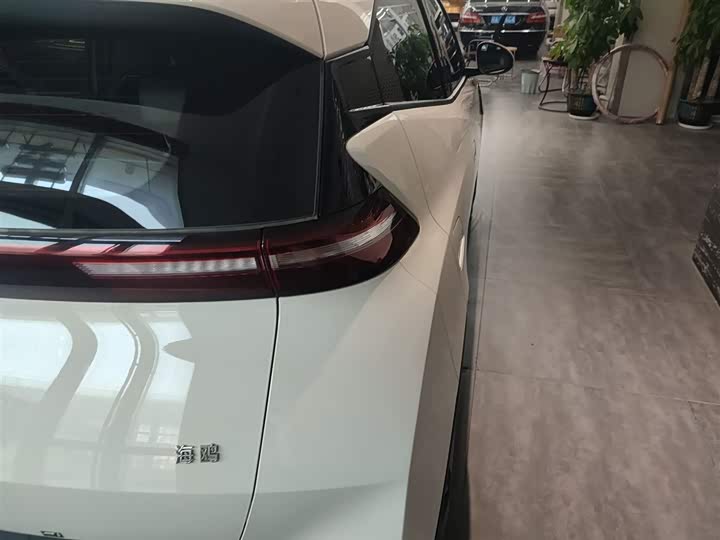 BYD Seagull 2025 2025款 305km 活力版