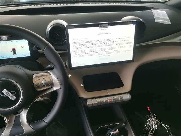 BYD Dolphin 2025 2025款 420km 自由版