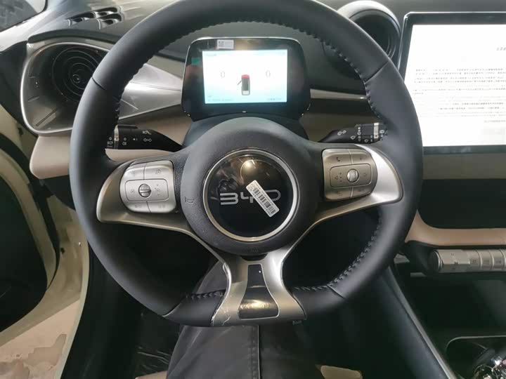 BYD Dolphin 2025 2025款 420km 自由版