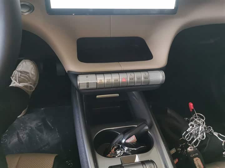 BYD Dolphin 2025 2025款 420km 自由版