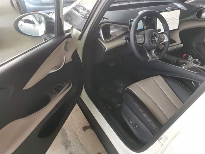 BYD Dolphin 2025 2025款 420km 自由版