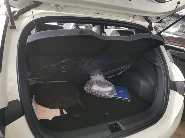 BYD Dolphin 2025 2025款 420km 自由版