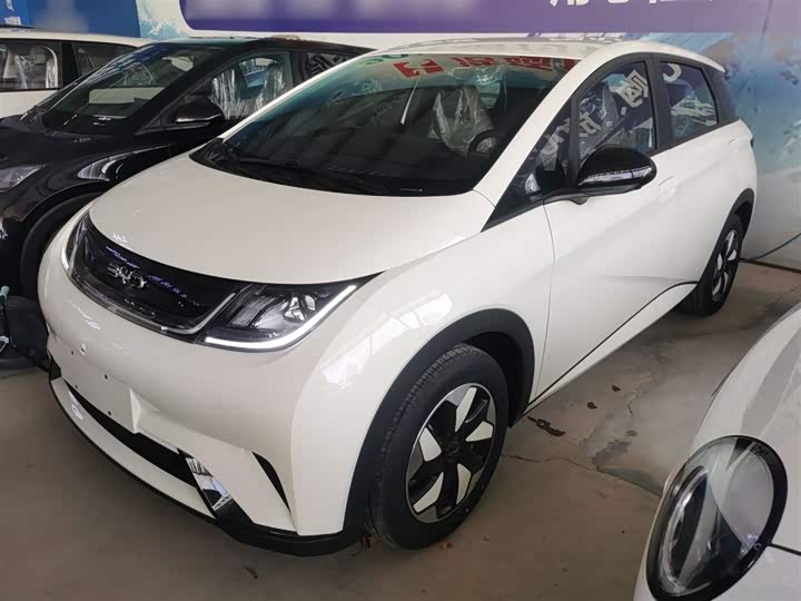 2025 BYD Dolphin