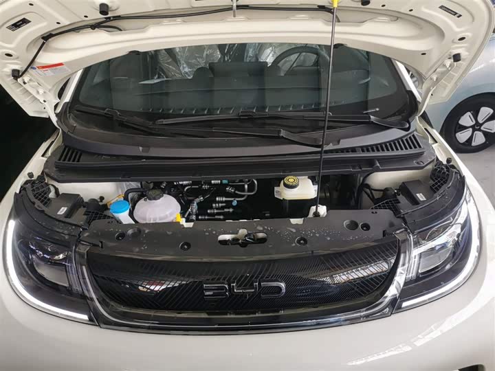 BYD Dolphin 2025 2025款 420km 自由版