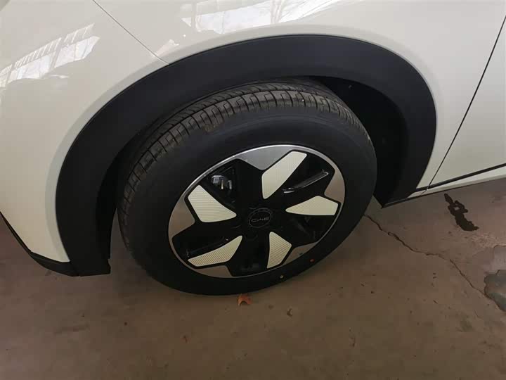 BYD Dolphin 2025 2025款 420km 自由版