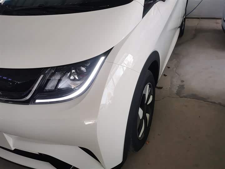 BYD Dolphin 2025 2025款 420km 自由版