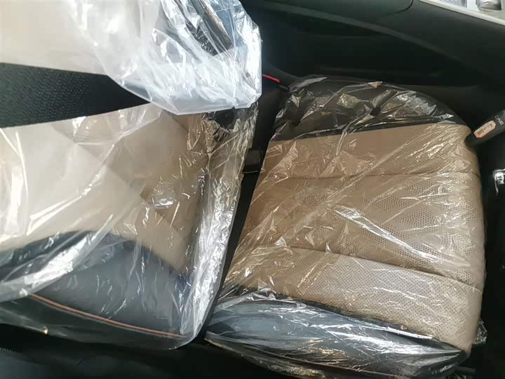 BYD Dolphin 2025 2025款 420km 自由版