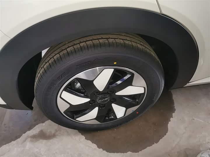 BYD Dolphin 2025 2025款 420km 自由版