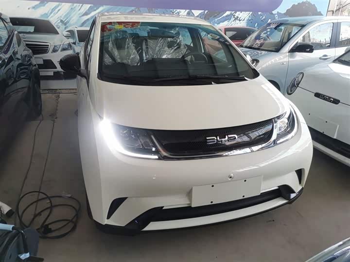 2025 BYD Dolphin
